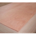 high quality poplar plywood prices